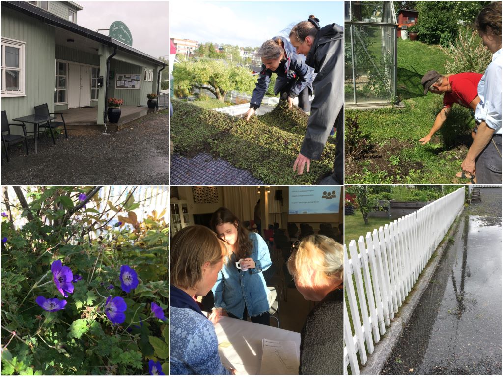 Bildegalleri fra sogn hagelab instagram