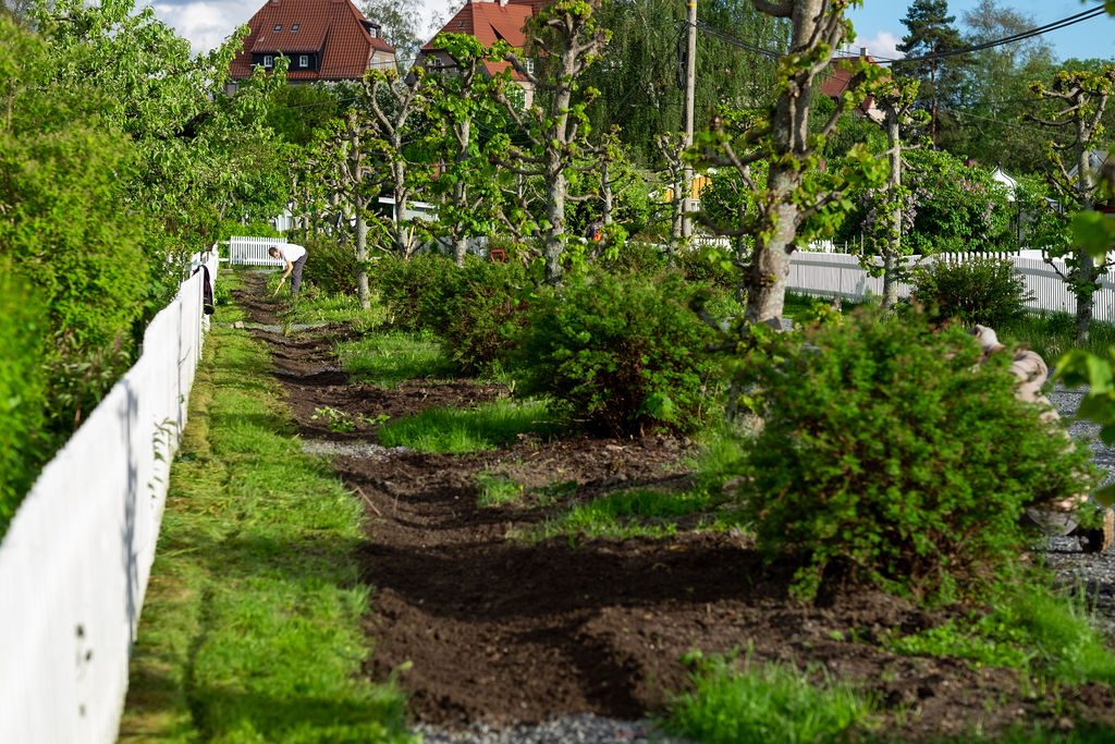 Vadi- foresenket-grønn vannvei